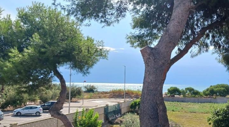 Castellón - Burriana - 300m2