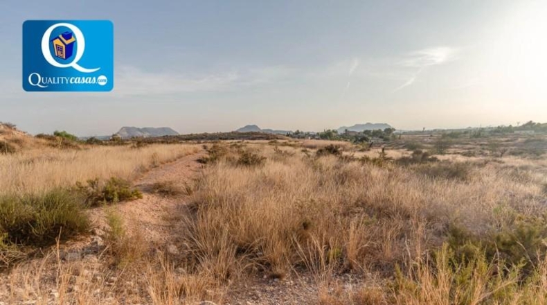 Alicante - Bañeres - 10000m2