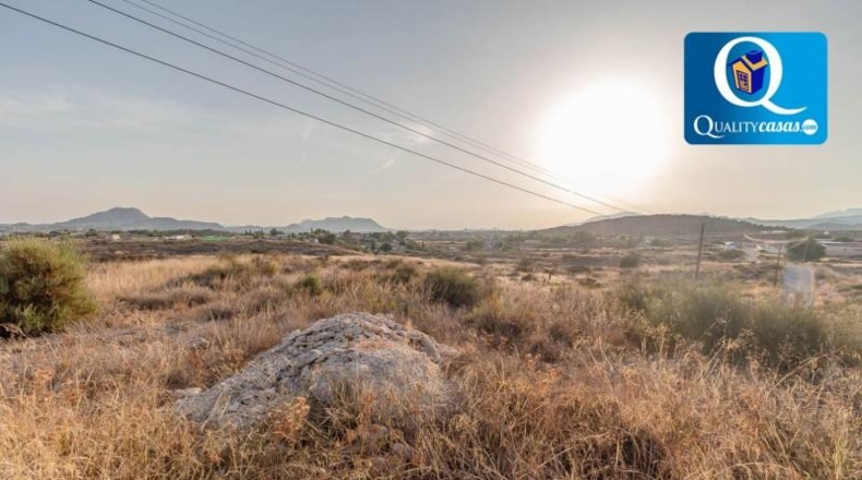 Alicante - Bañeres - 10000m2