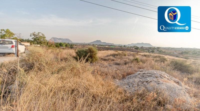 Alicante - Bañeres - 10000m2