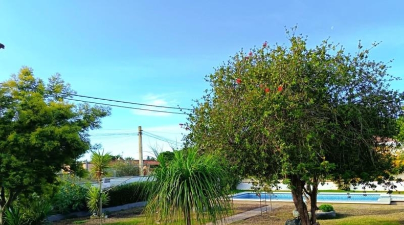 Cádiz - Chiclana de la Frontera - 1000m2