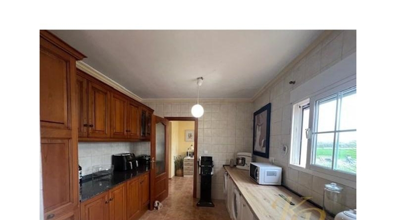 Alicante - Dolores - 6300m2