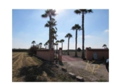 Chalet independiente con terreno en venta en la España, Dolores, ref: TR404671 foto