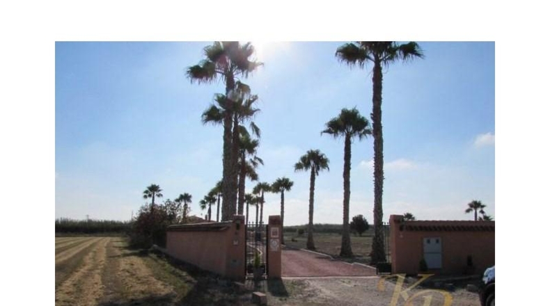 Alicante - Dolores - 6300m2