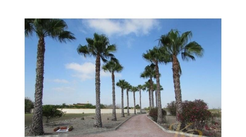 Alicante - Dolores - 6300m2