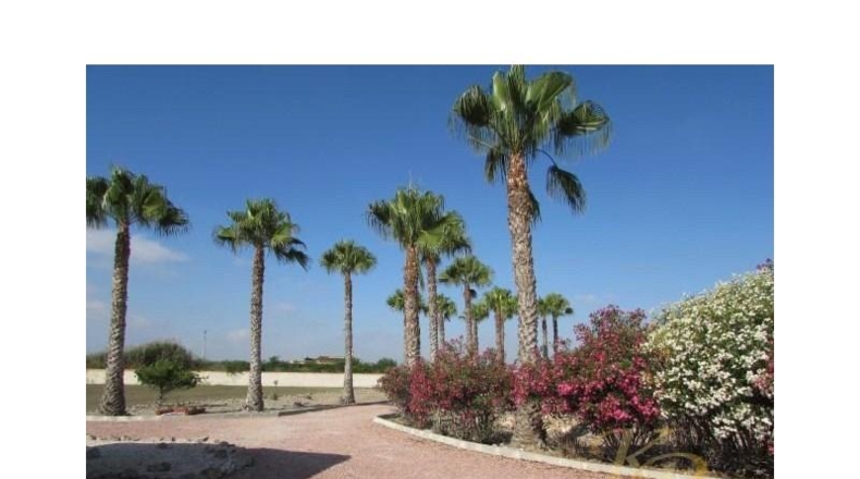Alicante - Dolores - 6300m2