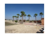 Chalet independiente con terreno en venta en la España, Dolores, ref: TR404671 foto