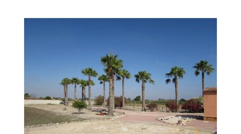 Alicante - Dolores - 6300m2