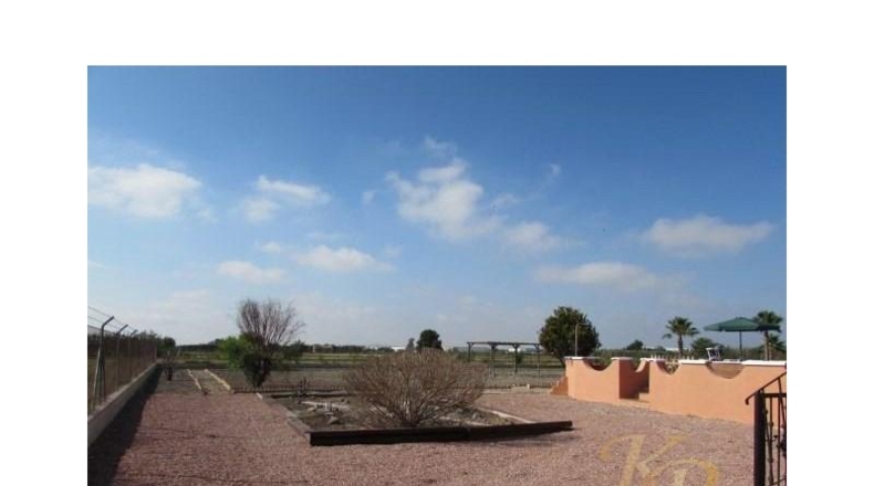 Alicante - Dolores - 6300m2