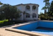 Detached villa with land for sale on España, Torrevieja, ref: TR335544 photo