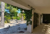 Detached villa with land for sale on España, Torrevieja, ref: TR335544 photo