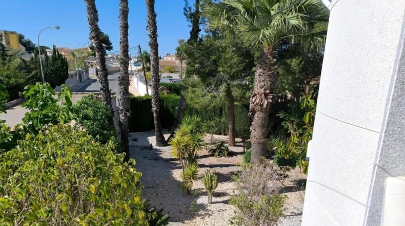 Alicante - Торревьеха - 1100m2