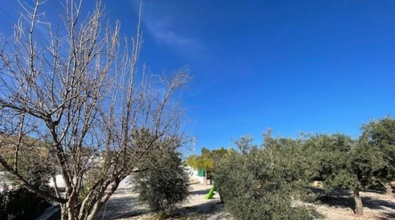 Castellon - Castelló de la Plana - 4415m2