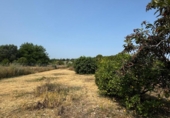 Xalet independent amb terreny en venda a la España, Dénia, ref.: TR263077 foto