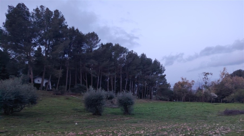 Málaga - Teba - 20000m2