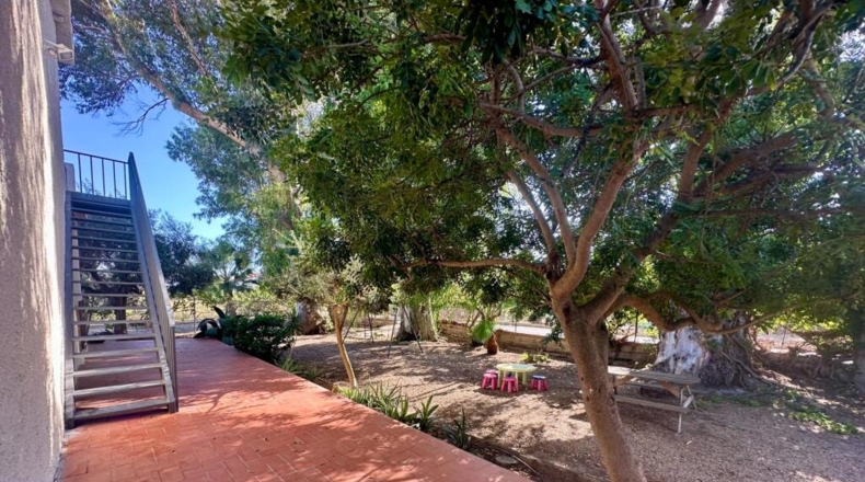 Tarragona - Deltebre - 388m2