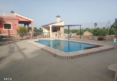 Chalet independiente con terreno en venta en Bigastro ref: TR404960 foto