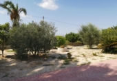 Chalet independiente con terreno en venta en Bigastro ref: TR404960 foto