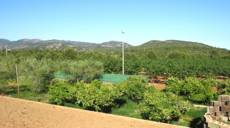 Castellón - Onda - 2498m2