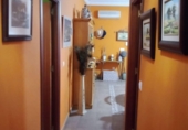 Chalet independiente con terreno en venta en Almendralejo ref: TR404933 foto