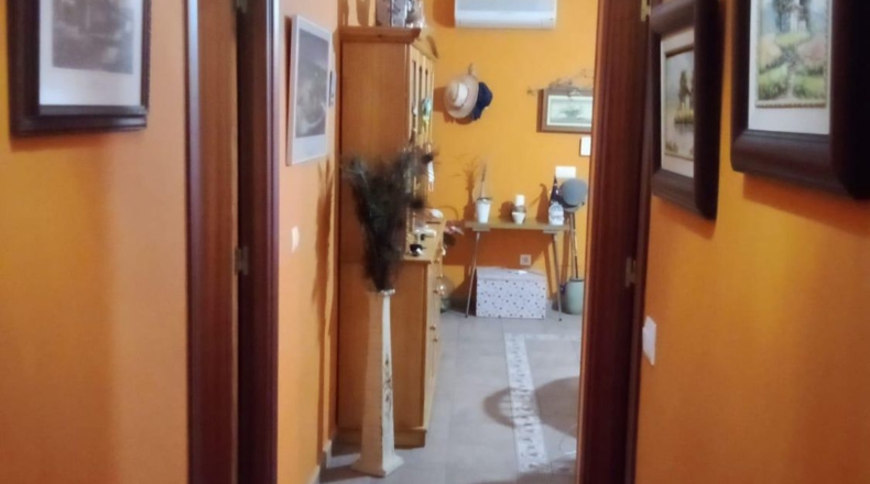 Badajoz - Almendralejo - 175m2
