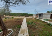 Xalet independent amb terreny en venda a la España, el Catllar, ref.: TR356331 foto