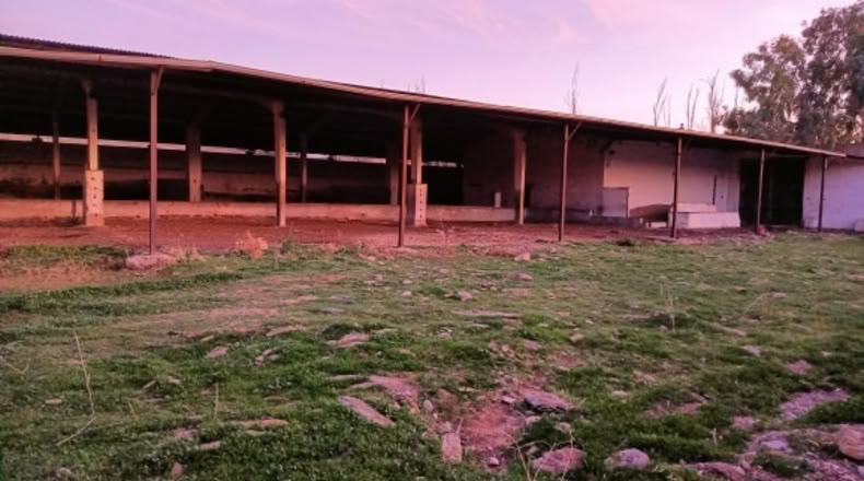 Guadalajara - Valdepeñas de la Sierra - 34000m2