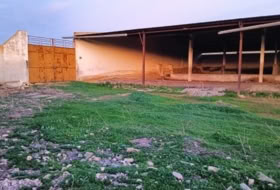 Foto 7