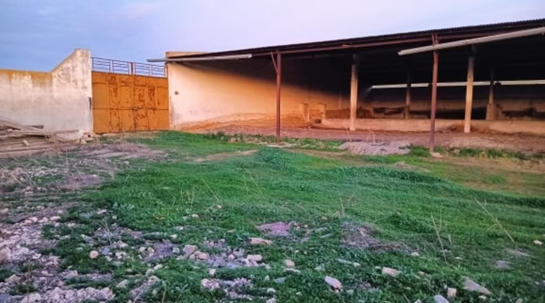 Guadalajara - Valdepeñas de la Sierra - 34000m2
