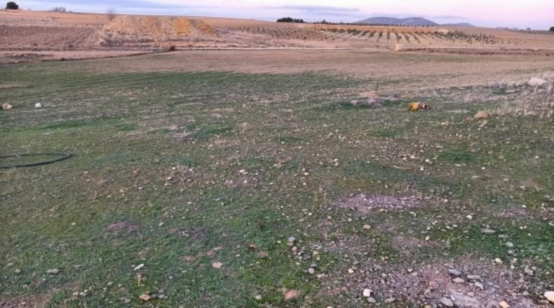 Guadalajara - Valdepeñas de la Sierra - 34000m2