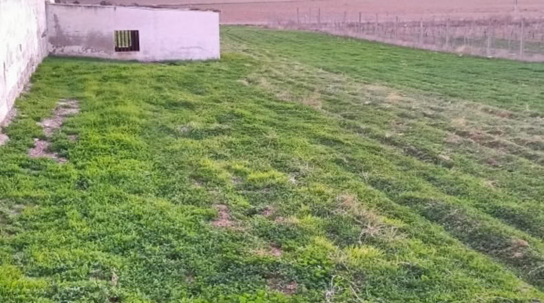 Guadalajara - Valdepeñas de la Sierra - 34000m2