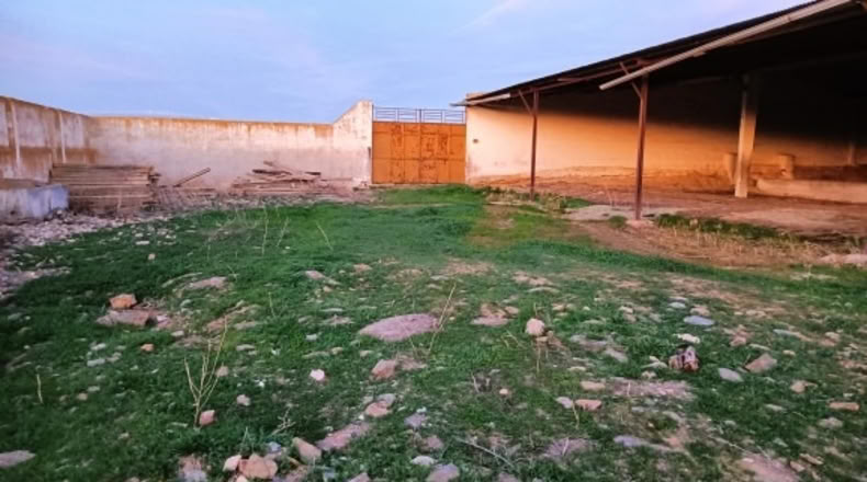 Guadalajara - Valdepeñas de la Sierra - 34000m2