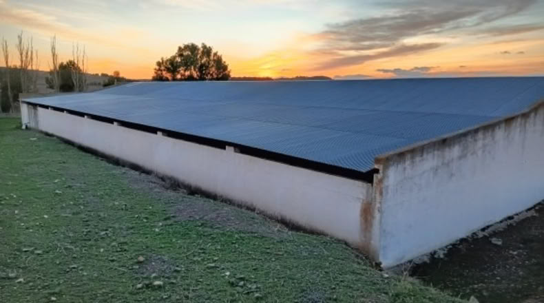 Guadalajara - Valdepeñas de la Sierra - 34000m2