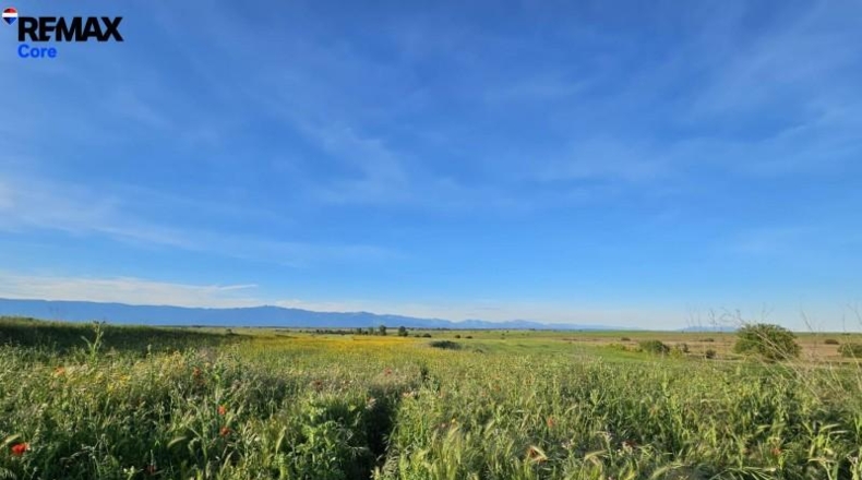 Toledo - Calzada de Oropesa - 25000m2