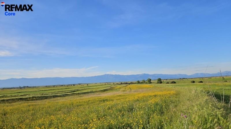 Toledo - Calzada de Oropesa - 25000m2