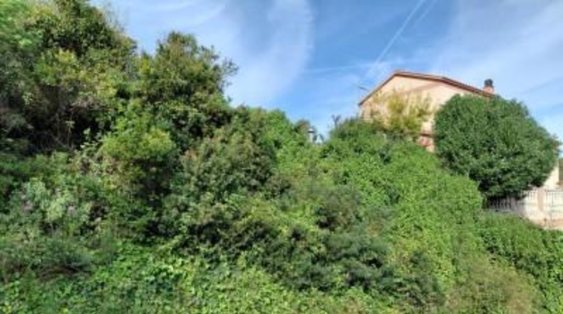 Tarragona - Calafell - 1114m2