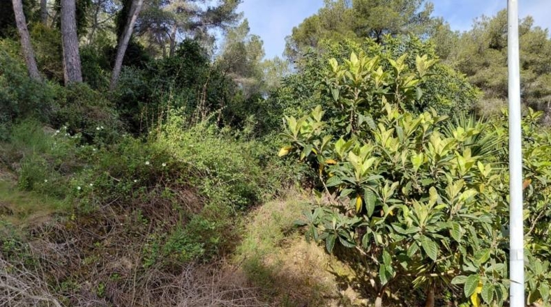 Tarragona - Calafell - 1114m2