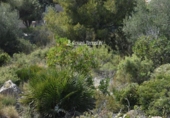Sòl urbà en venda a la España, Calafell, ref.: TR383577 foto