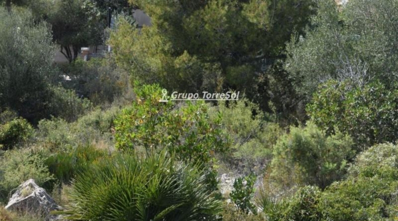 Tarragona - Calafell - 603m2