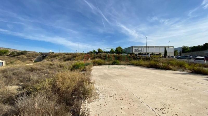 Alicante - Elda - 1633m2