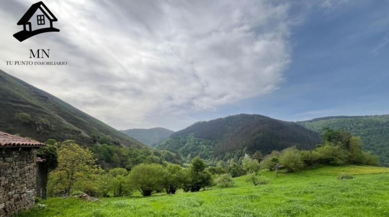 Cantabria - Carrascal de San Miguel - 5000m2