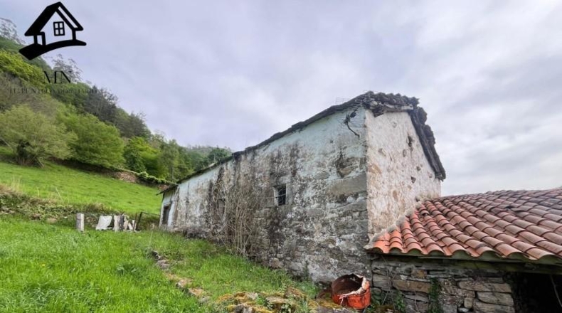 Cantabria - Carrascal de San Miguel - 5000m2