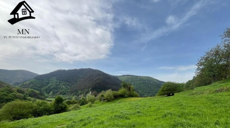 Cantabria - Carrascal de San Miguel - 5000m2