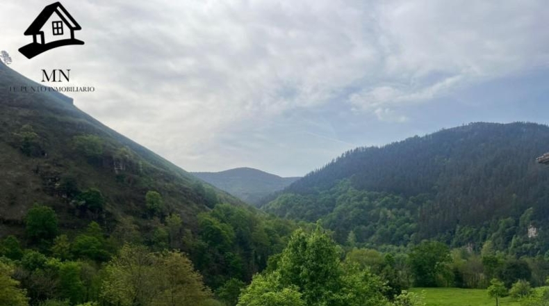 Cantabria - Carrascal de San Miguel - 5000m2