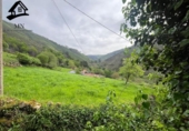 Detached villa with land for sale on España, San Miguel de Luena, ref: TR404717 photo