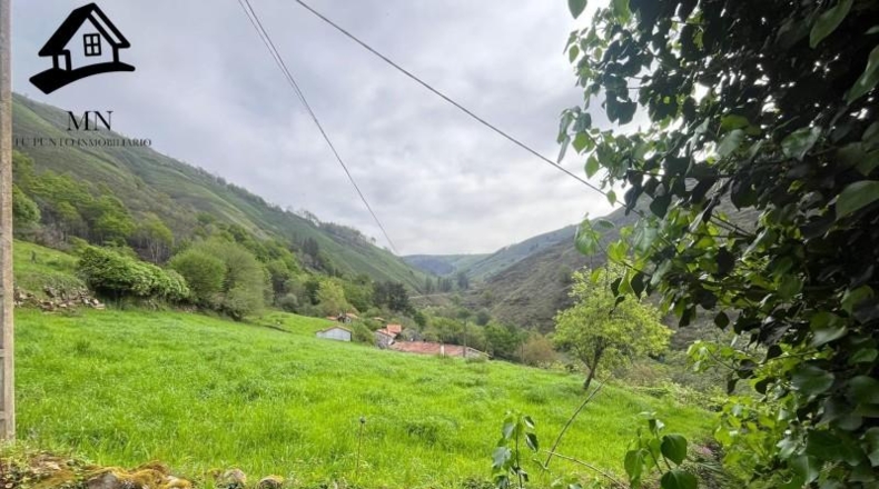 Cantabria - Carrascal de San Miguel - 5000m2