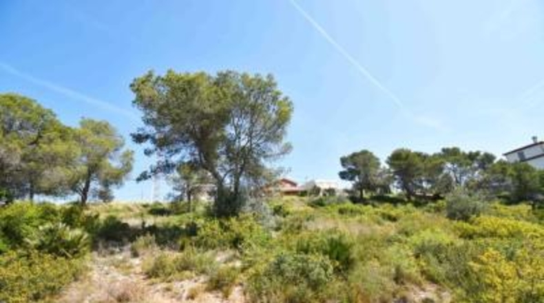 Barcelona - les Palmeres - 800m2