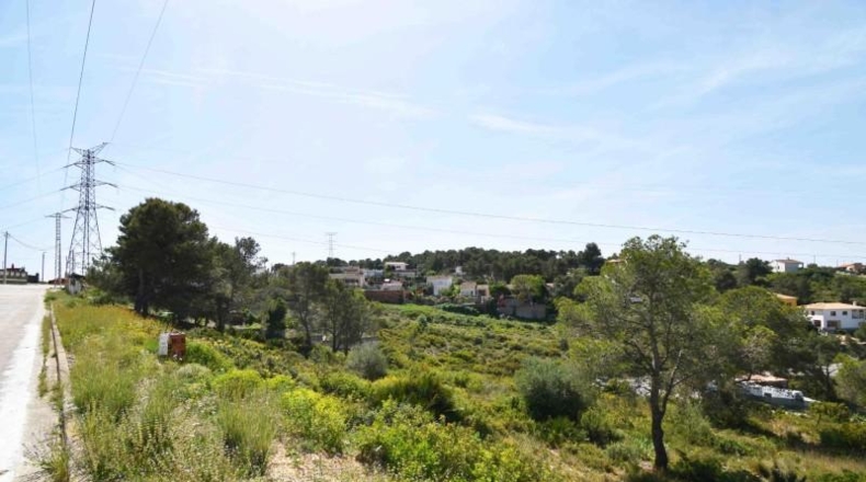 Barcelona - les Palmeres - 800m2