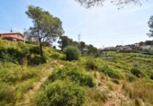Land suitable for development for sale on España, Canyelles, ref: TR404720 photo