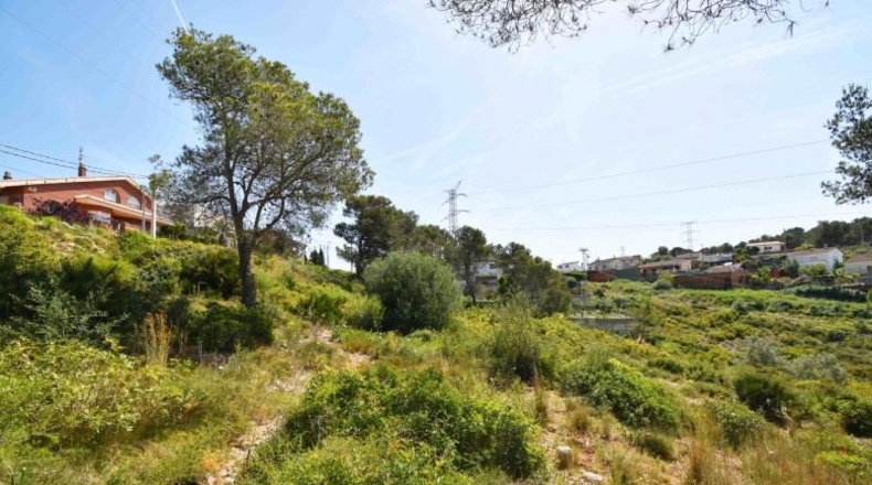 Barcelona - les Palmeres - 800m2
